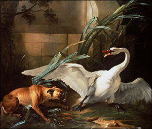 Image of a dog fighting a swan -Star Trek Style